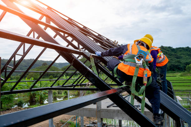 Best Roof Gutter Cleaning  in Franklinville, NJ