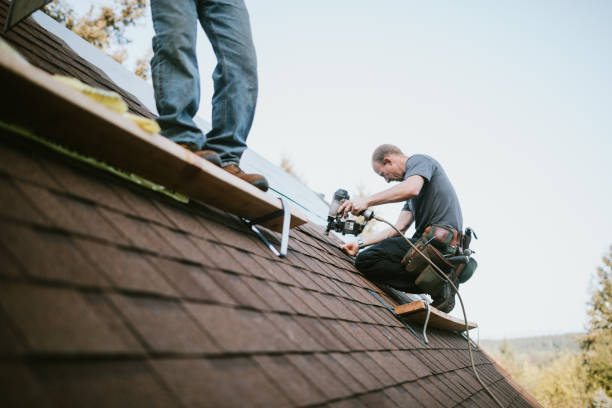 Best Storm Damage Roof Repair  in Franklinville, NJ