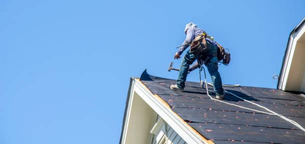 Best Gutter Installation and Roofing  in Franklinville, NJ